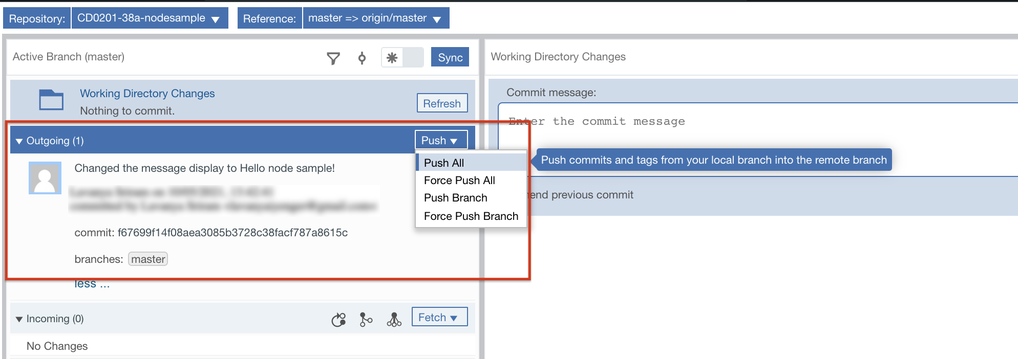 Working Directory Changes: Outgoing