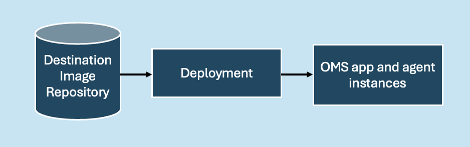 Customized Container Deployment.