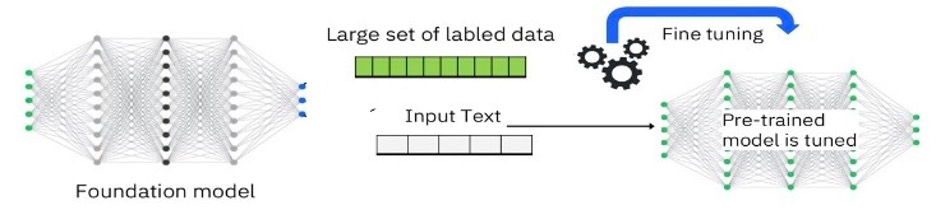 Fine-tuning foundation models on domain-specific and task-specific data