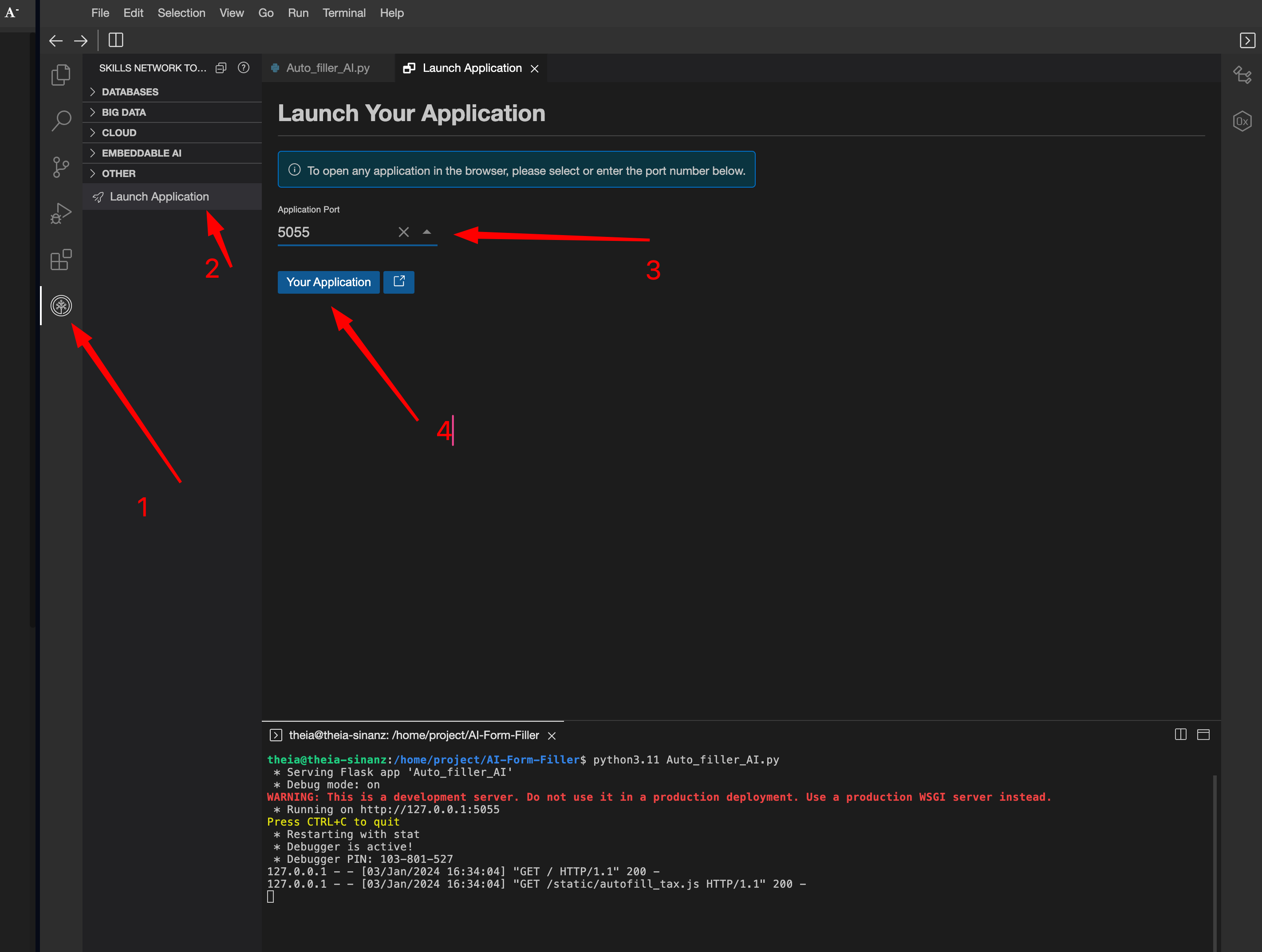 Alternatie application launch instruction image