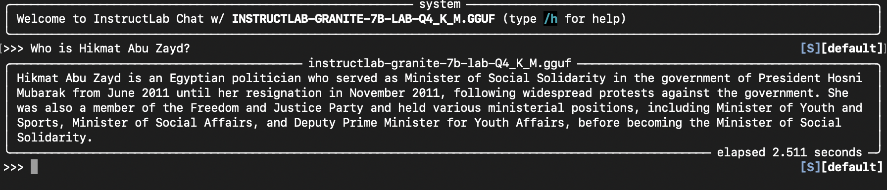 Screen capture of the fine-tuned model response